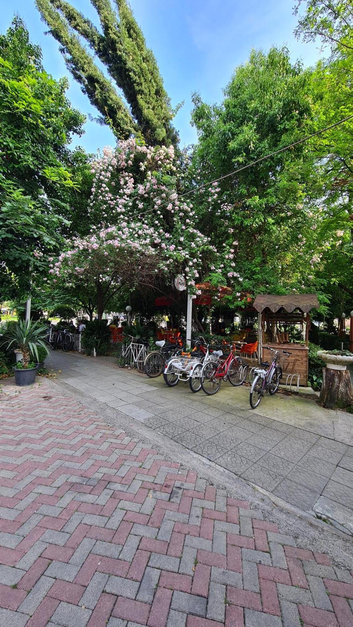 Dei Cozy Apartment Shkodra Kültér fotó
