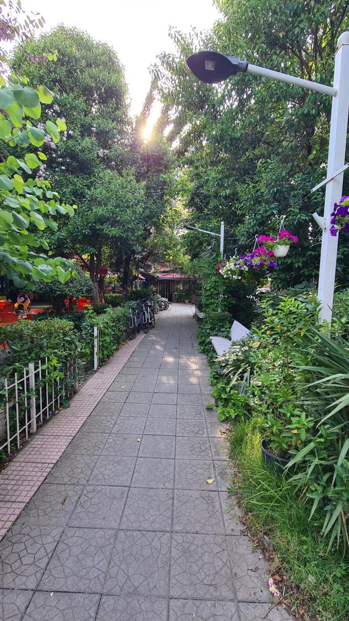 Dei Cozy Apartment Shkodra Kültér fotó
