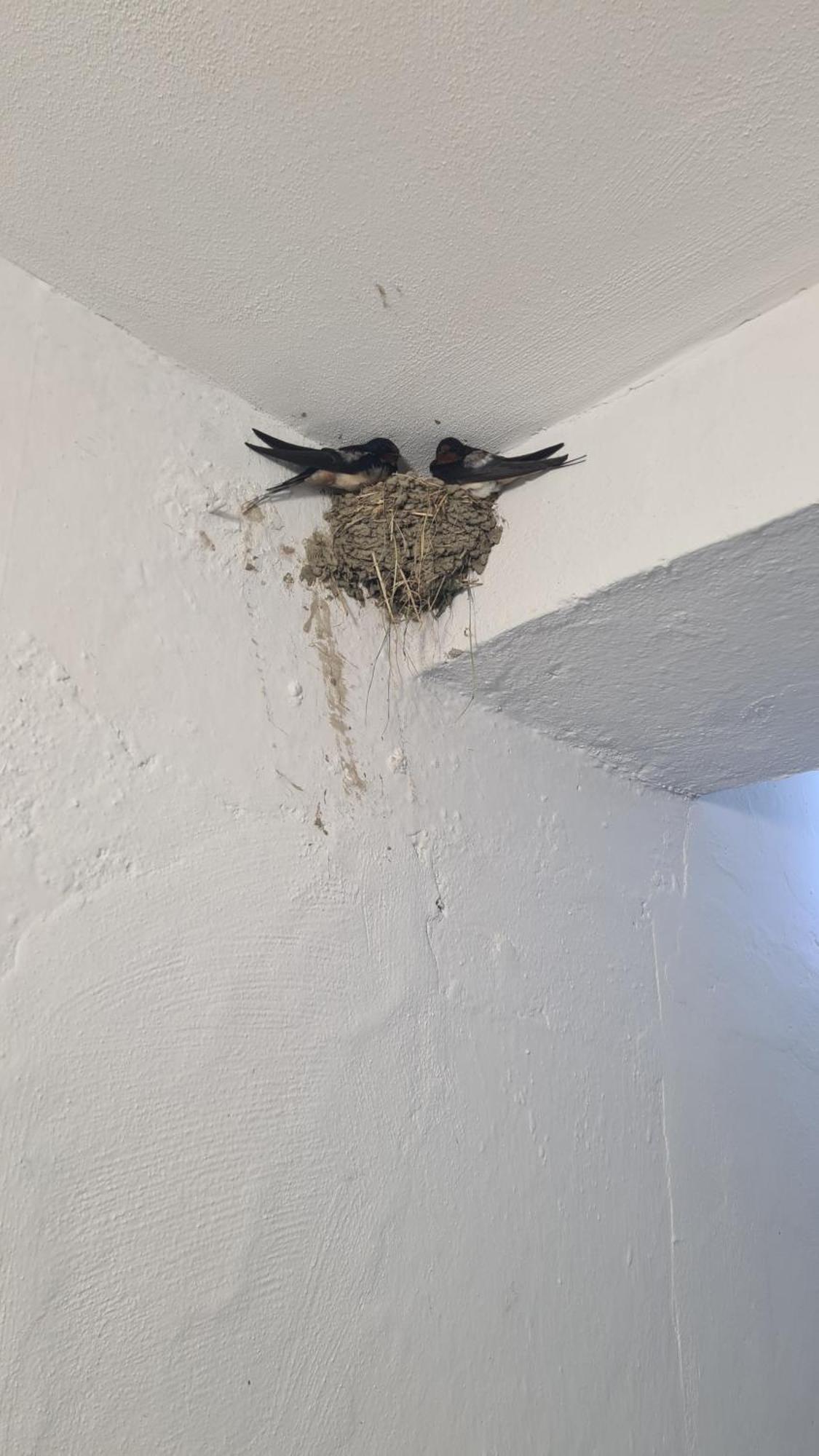 Dei Cozy Apartment Shkodra Kültér fotó